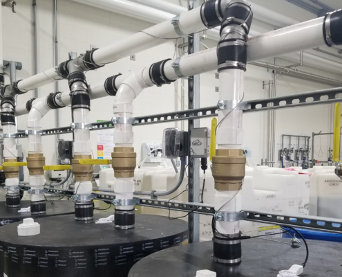 Important Questions to Ask Before Choosing a Salt Delivery Partner